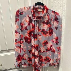 New York & Co- Eva Mendes Collection